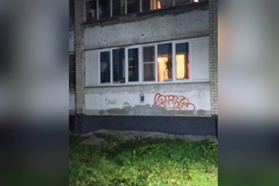 «Часто высовывалась с балкона»: Десятилетняя девочка вывалилась с пятого этажа в Дзержинске