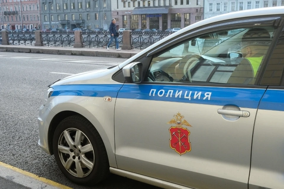 Компания взрослых с пистолетом отобрала у 14-летнего мальчика портативную колонку в Гатчине.