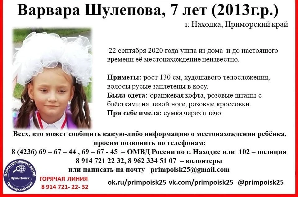 Ориентировка, которую распространяли волонтеры ПРОО "Примпоиск".