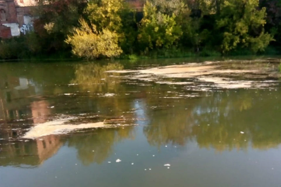 В реку Устье кто-то сбросил навоз. ФОТО: ГП ЯО "Южный водоканал"