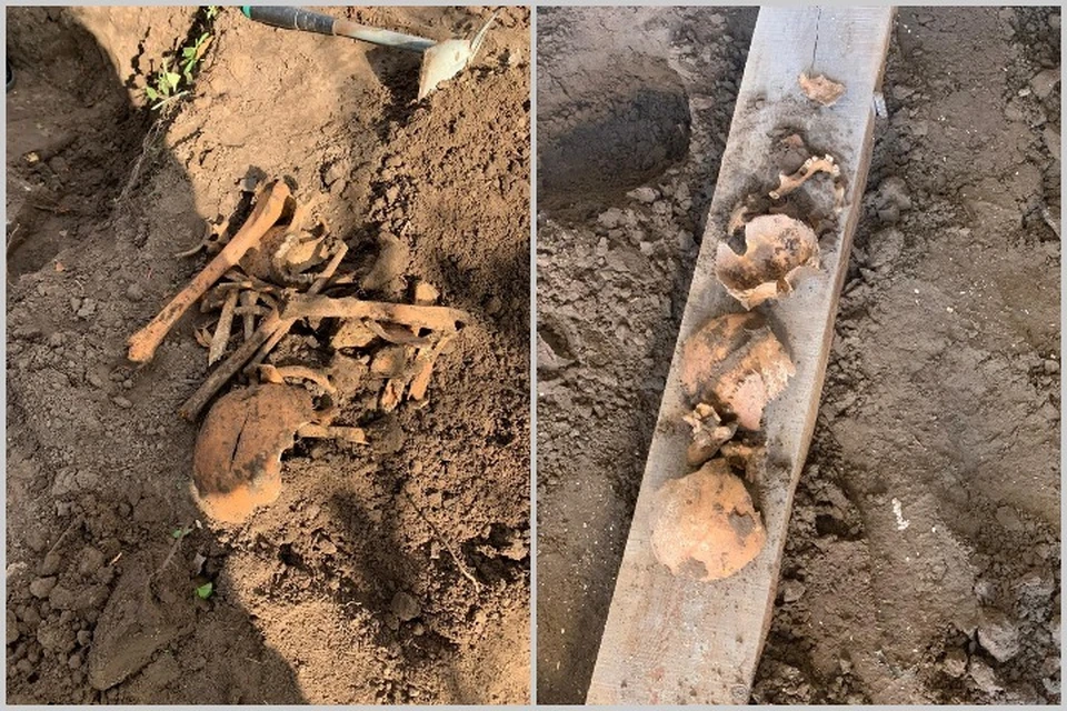В Хакасии мужчина откопал на даче загадочный каменный короб со скелетом человека. Фото: ГСУ СК России по Красноярскому краю и Хакасии.