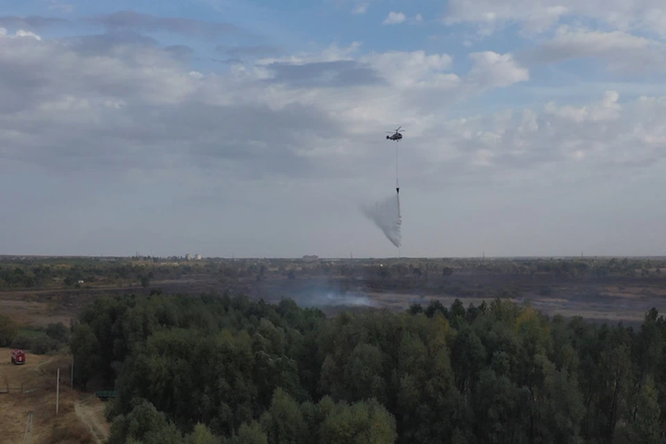 Фото предоставлено пресс-службой Новоусманского района