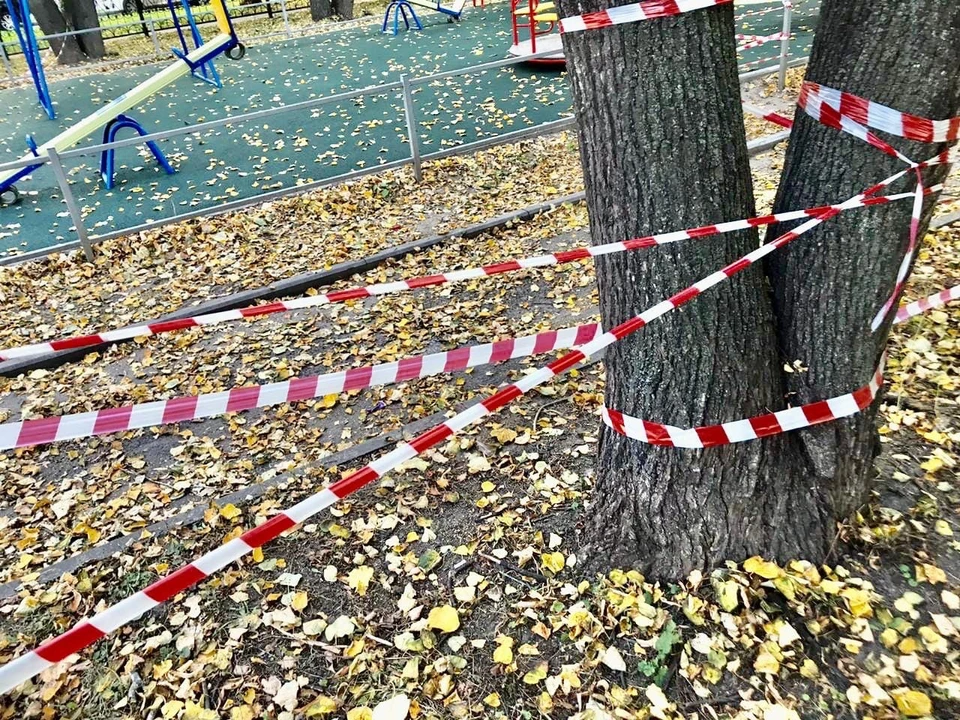 Детскую площадку в сквере им. Уткина, где испортили покрытие, временно огородили. Фото: администрация Рязани.