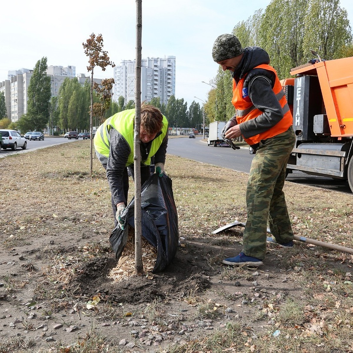 В Воронеже станет меньше грязи и пыли: открытый грунт в городе будут  засыпать щепой - KP.RU