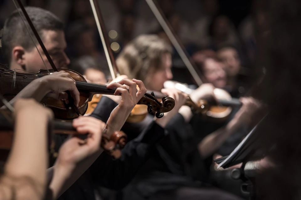 Филармония Ижевска пропустит этот концертный сезон. Фото: pixabay.com