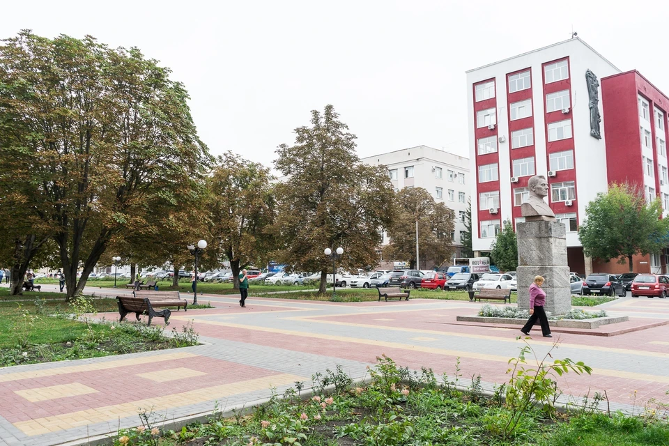 В 2020 году в Орле прошли лечение 500 каштанов