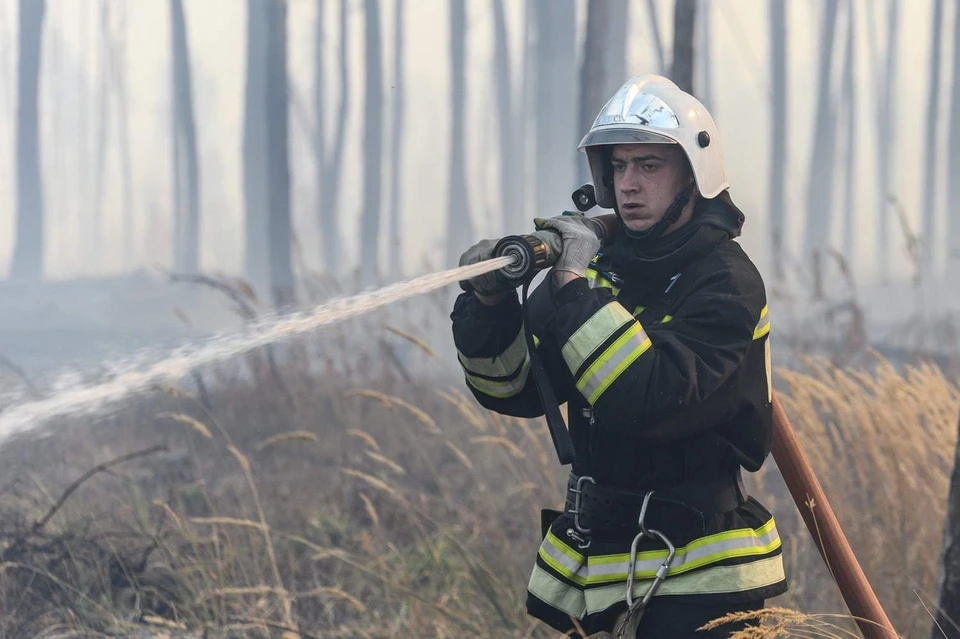 Расследование причин пожара в Северном лесу взято на особый контроль