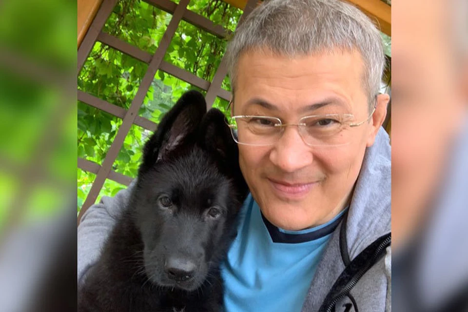 Хабиров рассказал печальную новость о своей любимой собаке