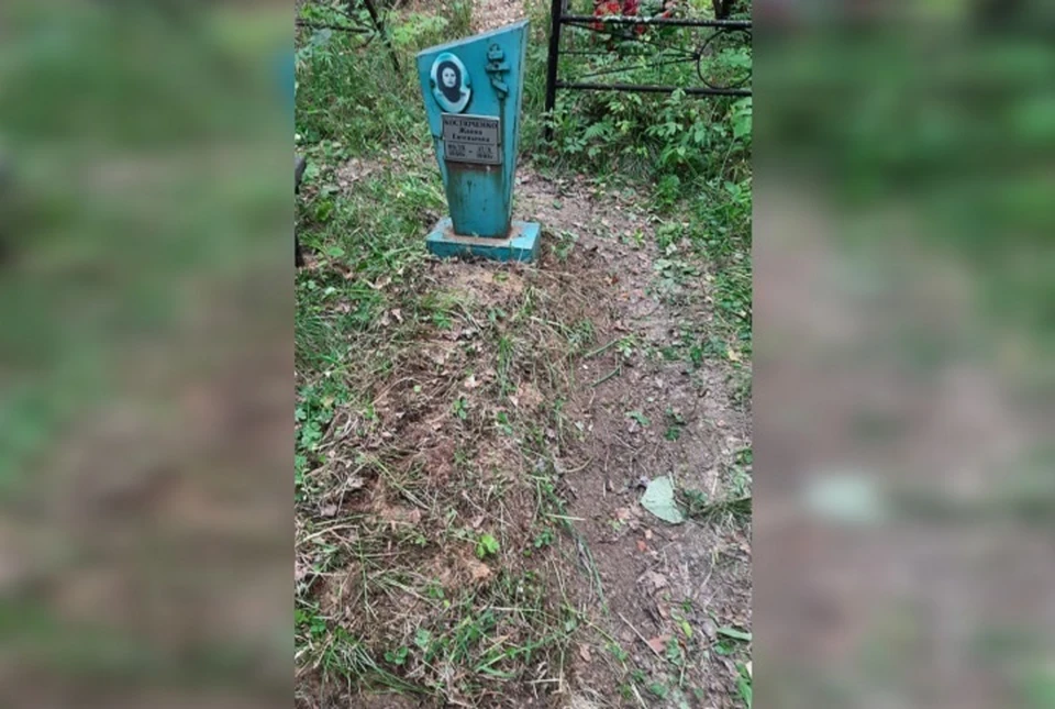 Фото: предоставлено читателем "КП"