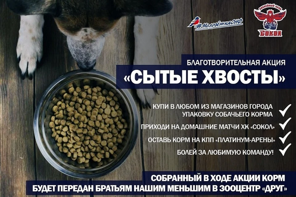 Идете на хоккей? Заодно можно накормить собак!