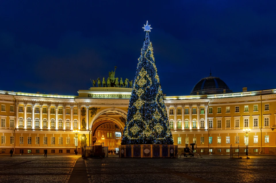 Последние семь лет в Петербурге стояла искусственная елка.