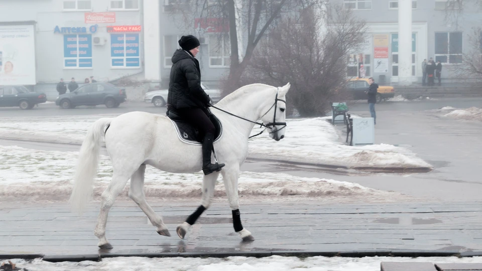 Фото: Александр Бойков
