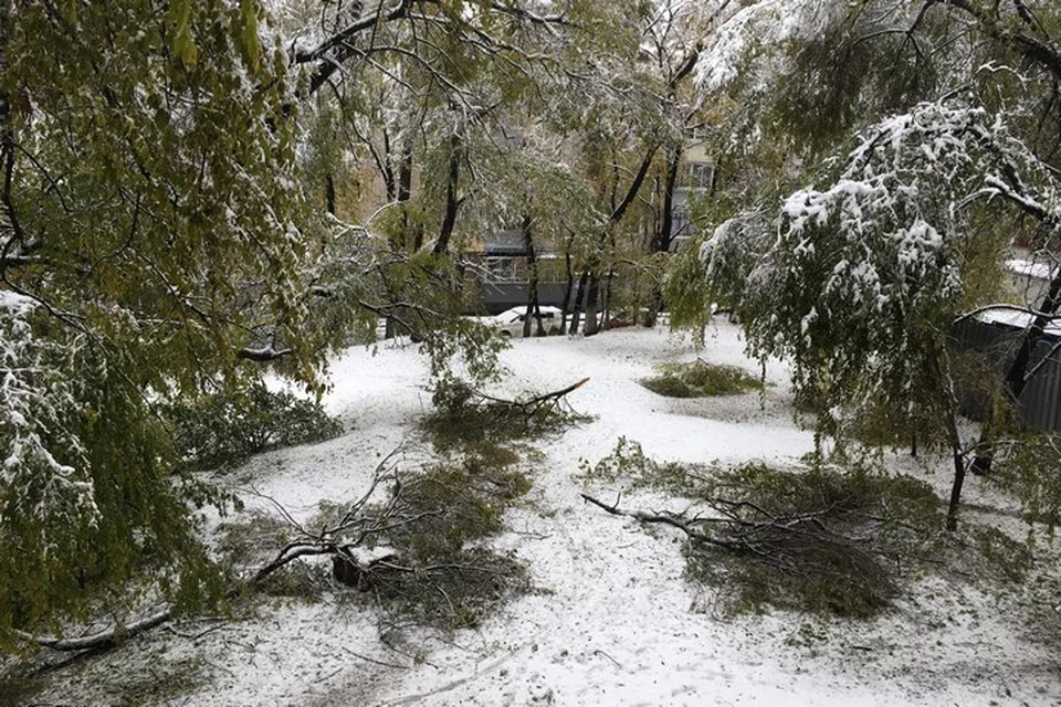 Погода хабаровск днем. Погода в Хабаровске. Погода в Хабаровске сегодня сейчас 2022. Погода в Хабаровске сегодня сейчас. Погода в Хабаровске в октябре.