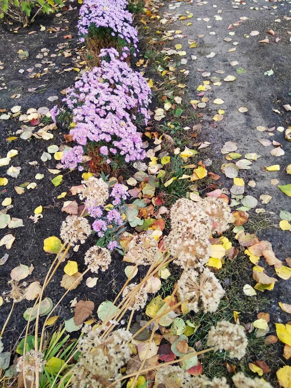 На следующей неделе в Белгородской области пройдут дожди.