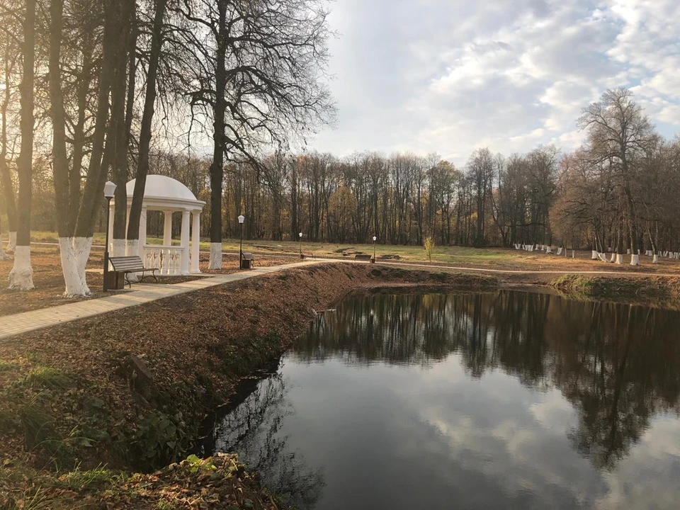 Лавандовое поле в Орловской области (М-4, Москва-Дон, км от Москвы)