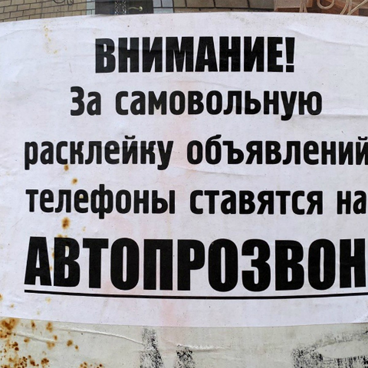 Система «Автодозвон» заставила прийти владельцев объявлений в мэрию  Хабаровска - KP.RU