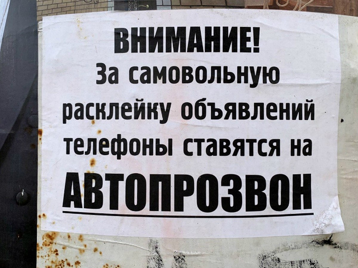 Система «Автодозвон» заставила прийти владельцев объявлений в мэрию  Хабаровска - KP.RU