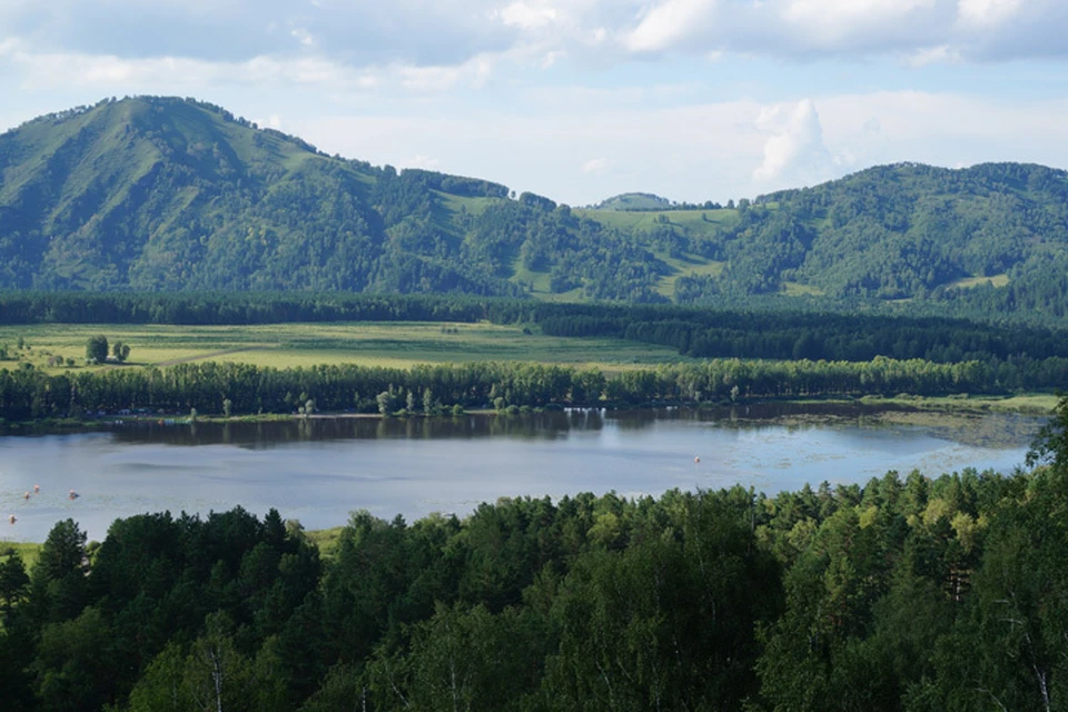 Озеро Манжерок несколько десятилетий просто превращалось в болото (фото: Министерство природных ресурсов, экологии и туризма Республики Алтай)