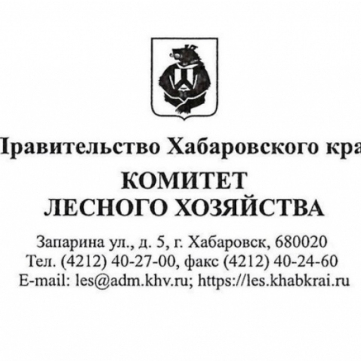 Управление лесами Хабаровского края переименовали в комитет - KP.RU