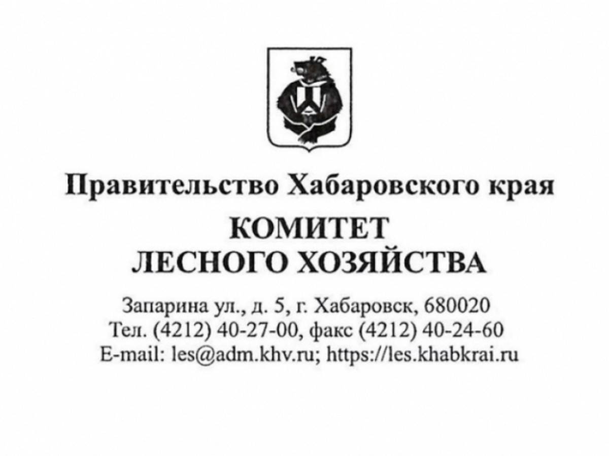 Управление лесами Хабаровского края переименовали в комитет - KP.RU