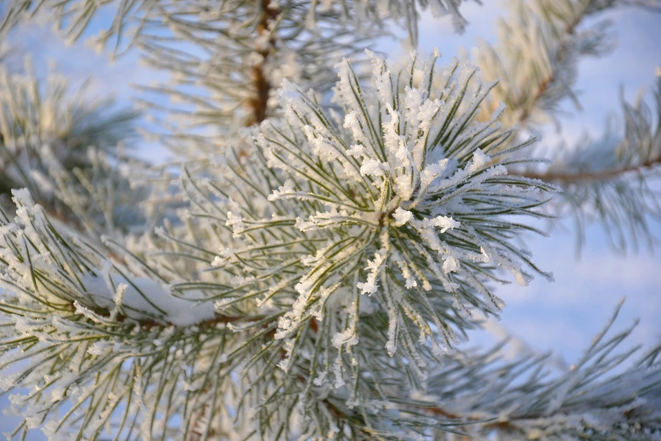 Погода в Ижевске на 13 ноября