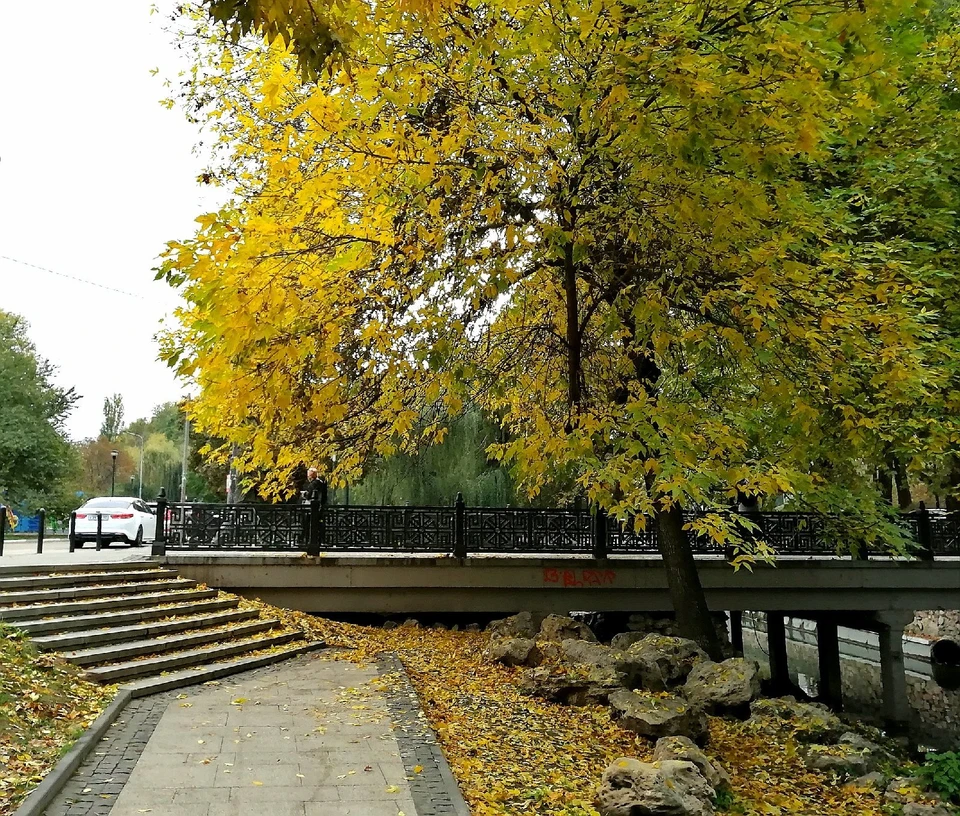 Погода в симферопольском. Симферополь в ноябре. Симферополь в ноябре фото. Погода в Симферополе. Погода в Крыму в ноябре.