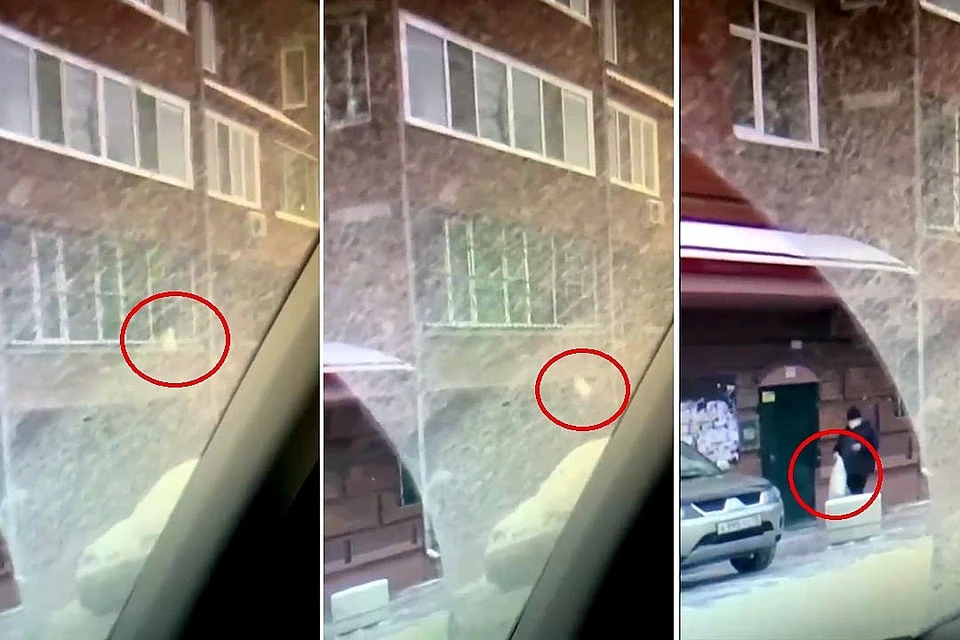 Момент, как из квартиры мэра Томска выкидывают подушку с миллиардами, попал на видео.