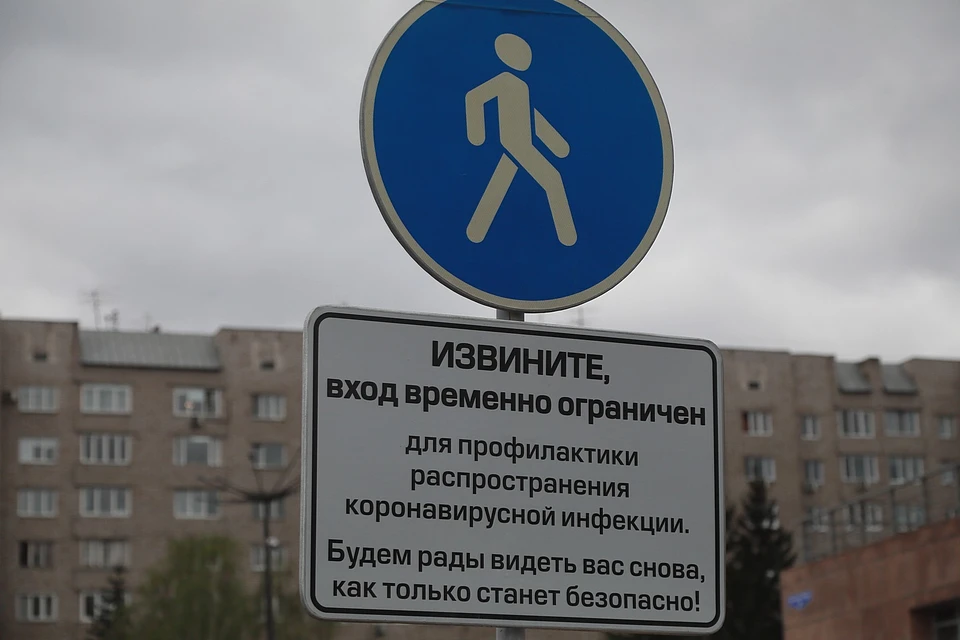 Новые случаи заражения коронавирусом в Красноярске и крае на 20 ноября 2020 года