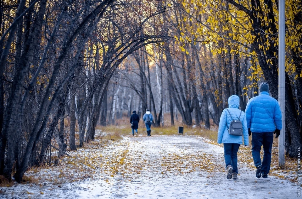 Омск погода сейчас фото