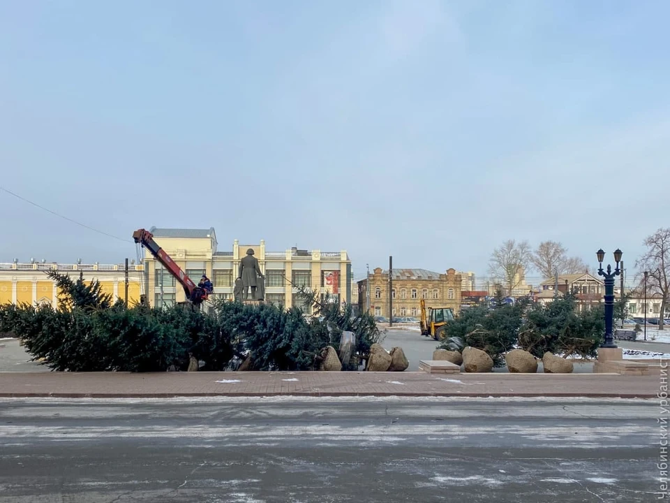 Площадь украсили пятиметровые ели Фото: t.me/Челябинский урбанист