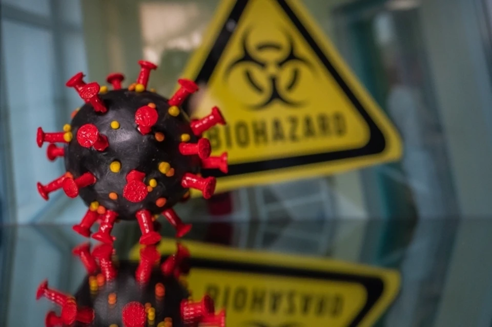 В Белгородской области за два дня не скончались еще 5 пациентов, зараженные коронавирусной инфекцией.