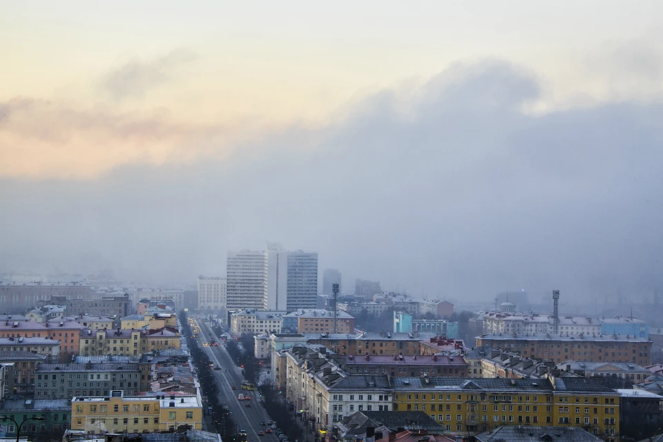 Мероприятия пройдут с 1 по 10 декабря во всех муниципалитетах. Фото: правительство МО
