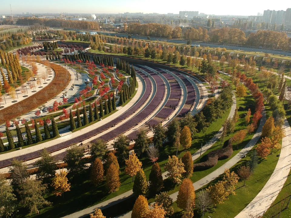 Красочный парк Галицкого за день до зимы. Фото: twitter.com/_johnysimo