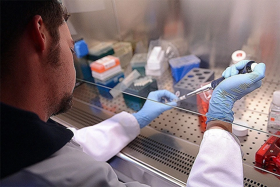 Biontech и Pfizer подали запрос о регистрации вакцины от коронавируса в Евросоюзе