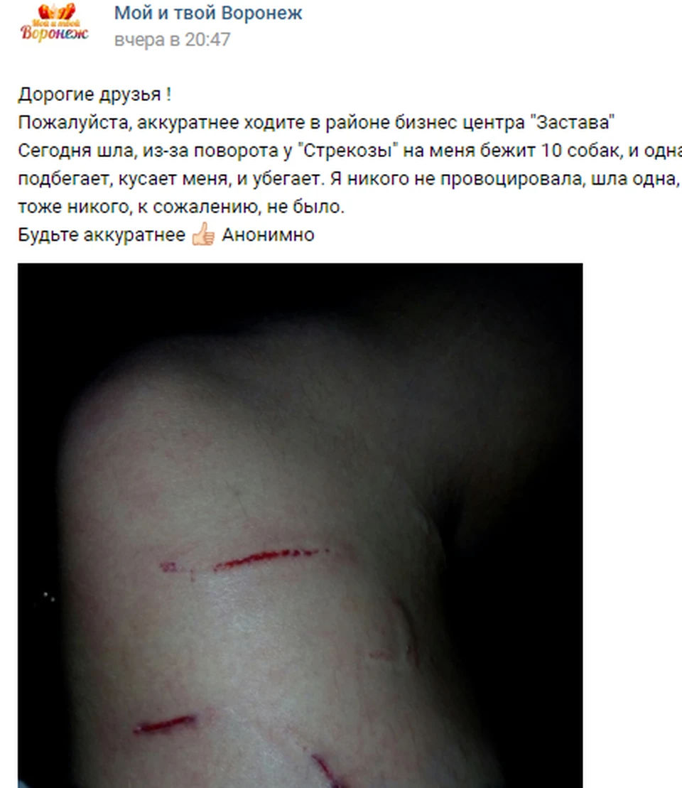 Дарье из-за укусов порой даже трудно ходить.
