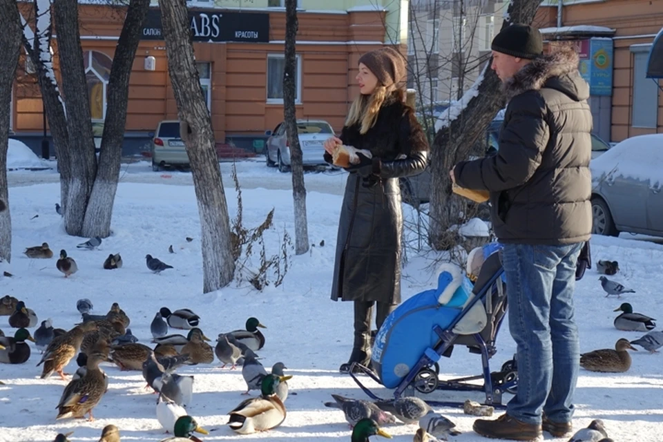 Зима пришла: в Кузбассе ожидаются морозы до -28 градусов
