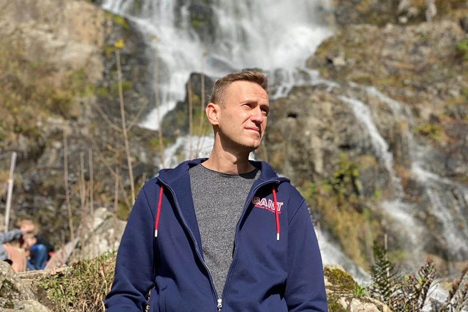 Навальный попросил вид на жительство в Германии?