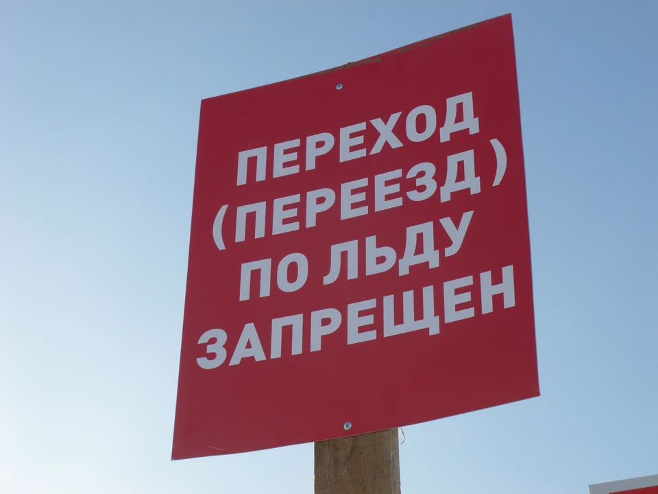 Фото: мэрия Сыктывкара