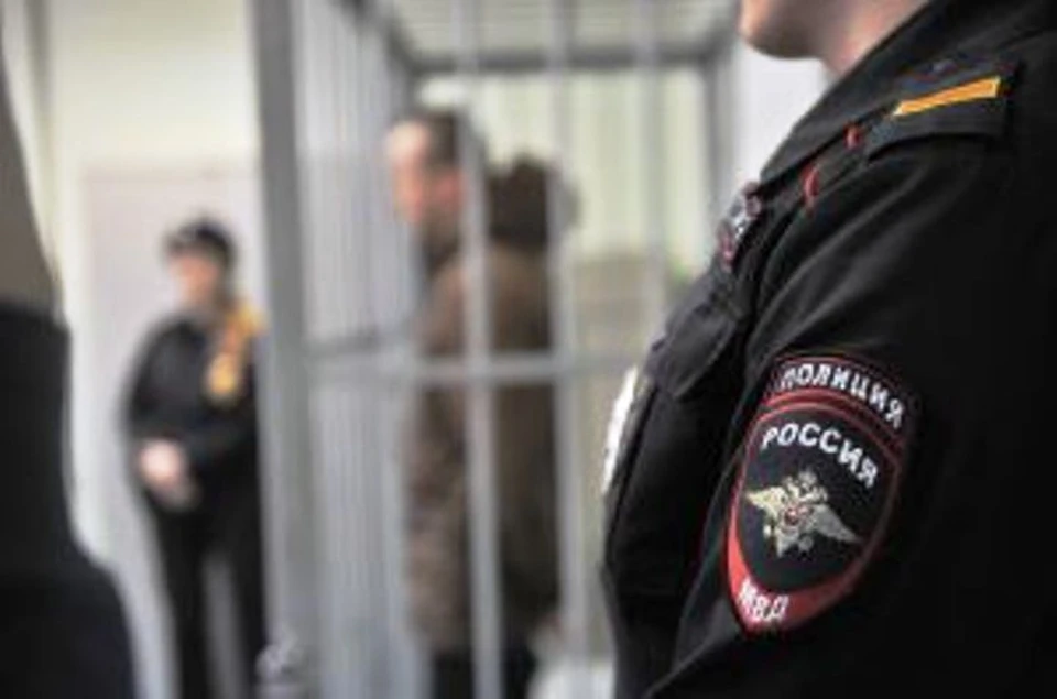Курянина взяли под стражу