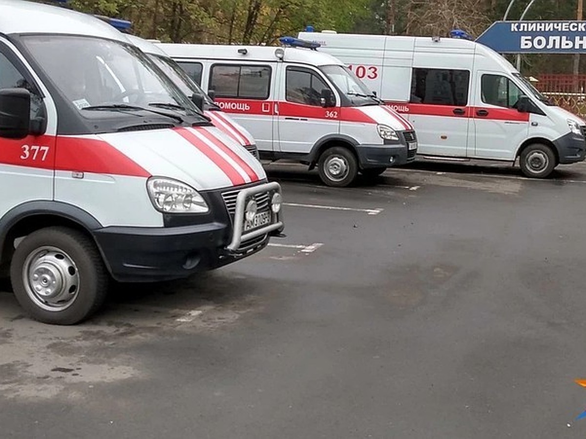 Хлопотные Сутки Перед Новым Годом