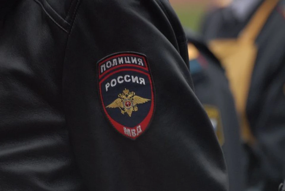 В Тульской области сотрудники полиции искали пропавшую школьницу