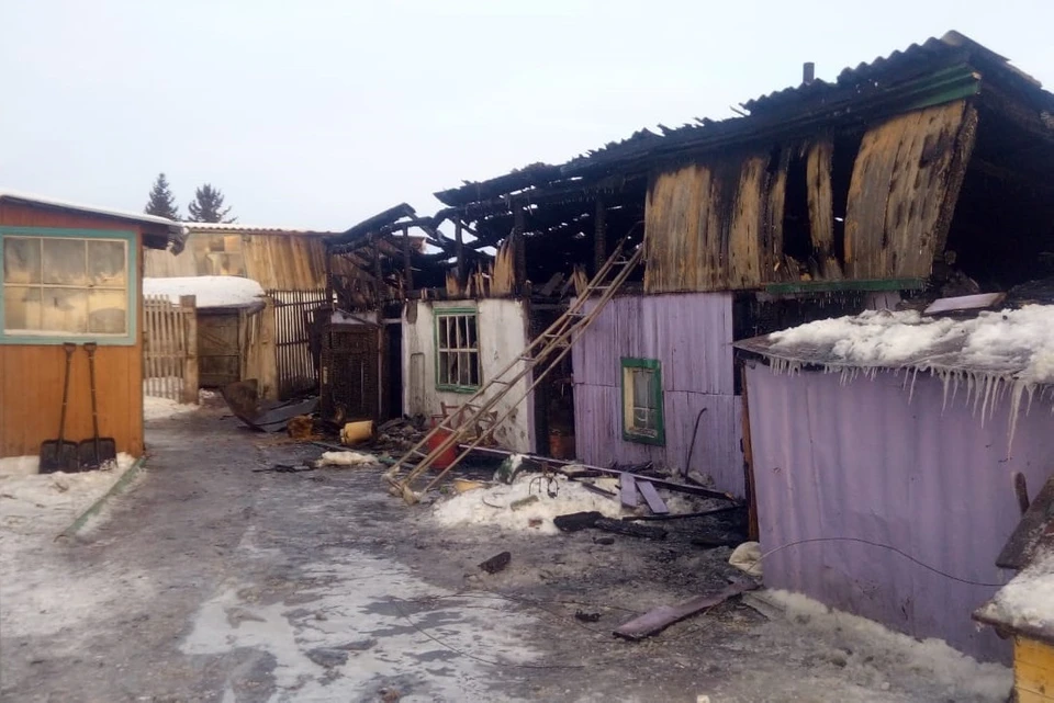 Полицейские спасли из огня чету пенсионеров. Фото: ГИБДД по Новосибирской области.
