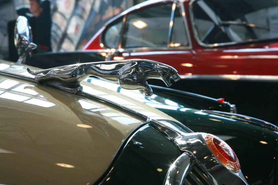 Мужчина так не хотел терять Jaguar , что нашел 48,5 тысячи рублей.