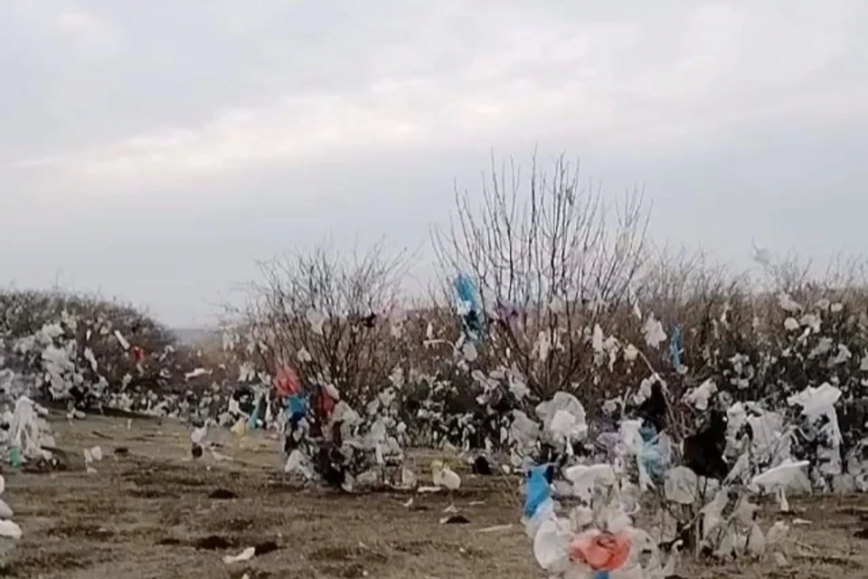 Фото с места: chp_stv