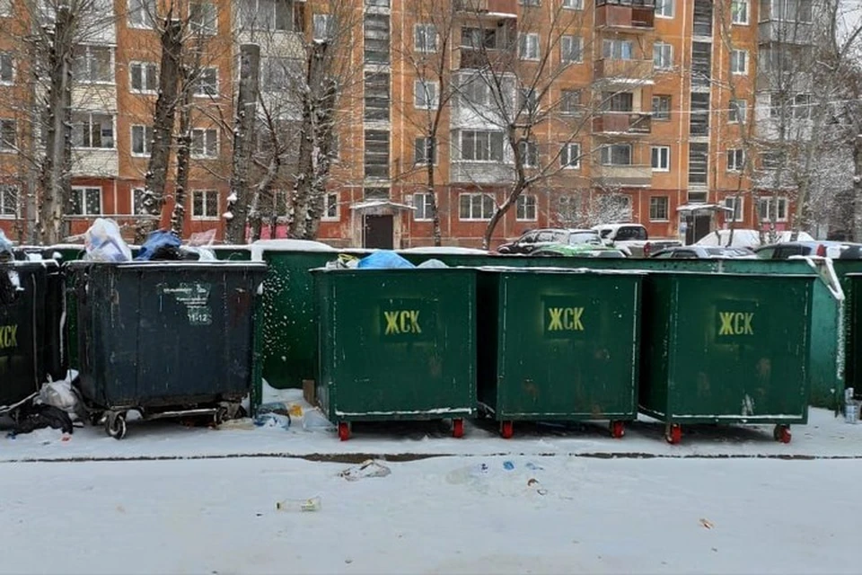 Красноярские депутаты проверили, как в городе вывозится мусор. Фото: предоставлено пресс-службой Горсовета
