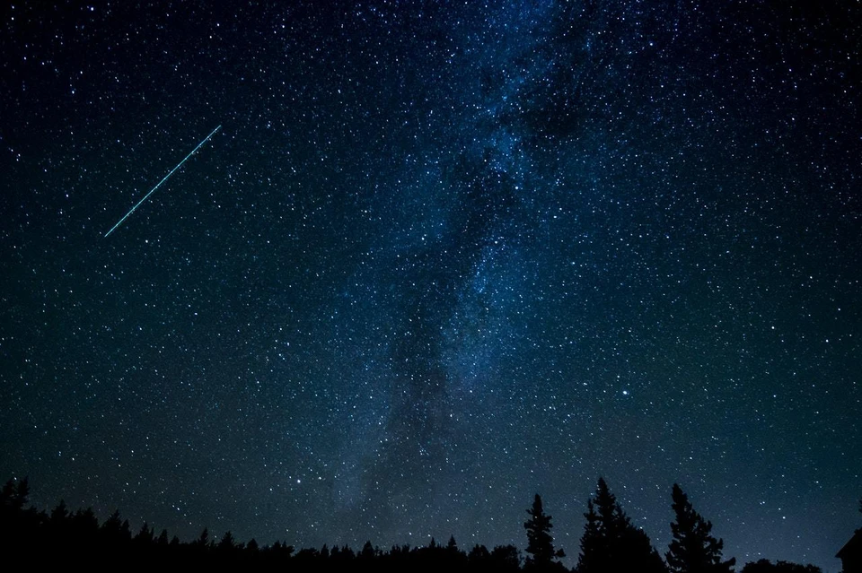 Фото: pexels.com