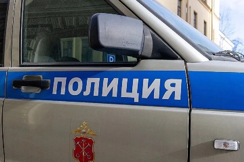В Новосибирске двое подростков напали на курьера.