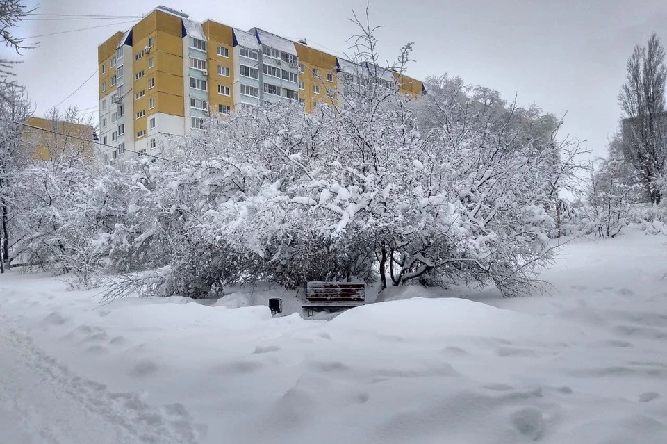 Саратов заметет снегом