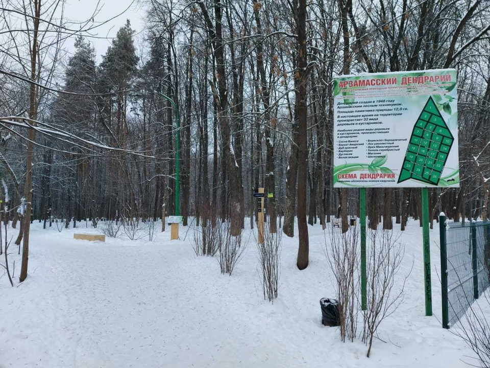 Мероприятия проводились в рамках развития паломническо-туристического кластера «Арзамас-Дивеево-Саров». Фото: Администрация г. Арзамаса