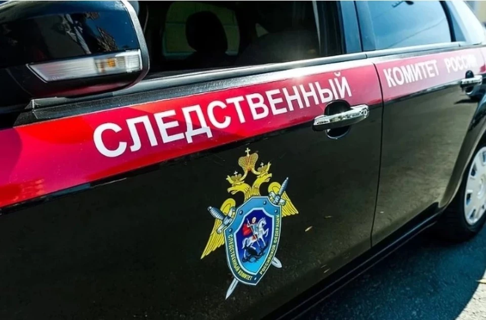 Два уголовных дела в отношении матери и бабашки убитой девочки соединены в одно производство.